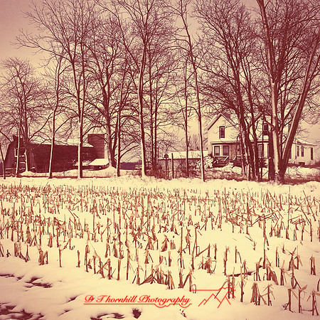 assorted_images-2012-156-nas