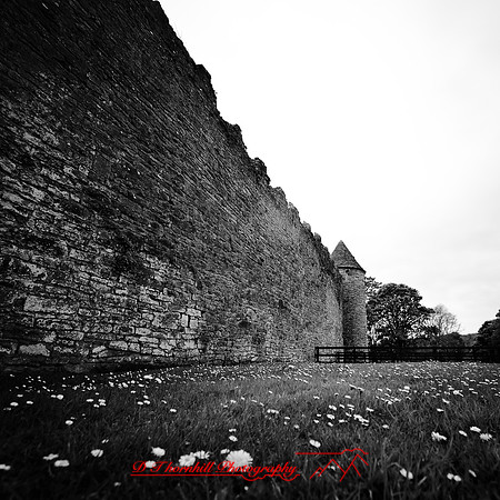ireland-2013-004