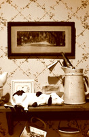 assorted-images-2006_47
