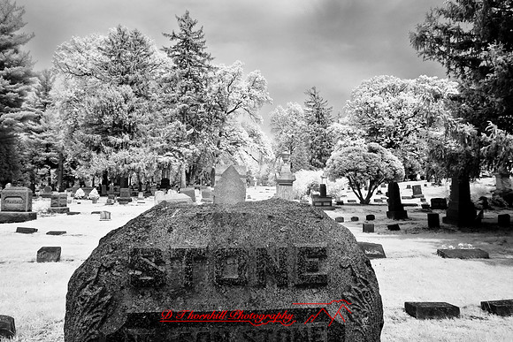 infrared-2008_056