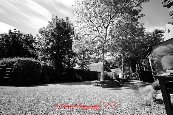 ireland-2013-475