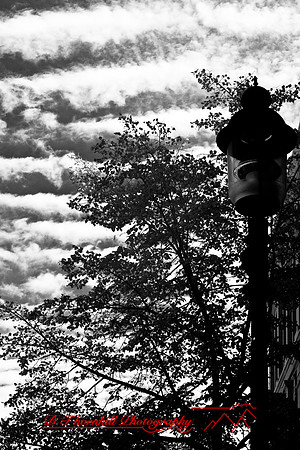 bay_city-infrared-2008_31