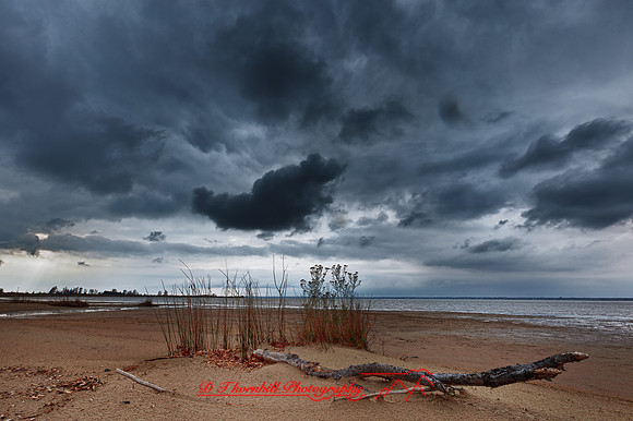 tawas-state-park-2011-1-01_HDR