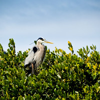 florida - 2022 - spring - 148_DxO