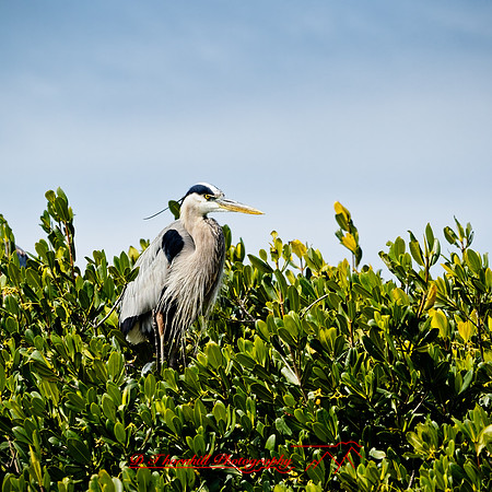 florida - 2022 - spring - 148_DxO