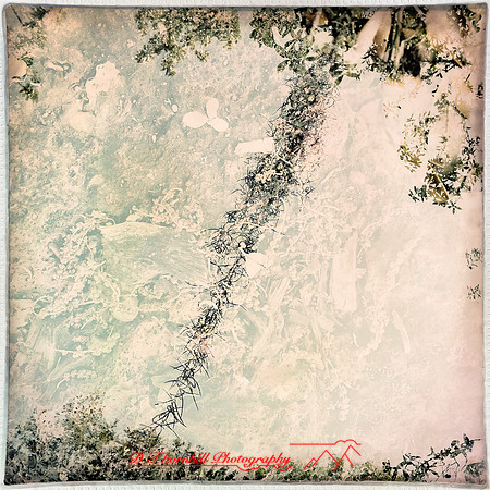 florida-march-2015-iphone-multi_exposure-017