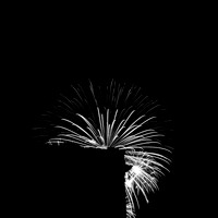 saginaw fireworks 2015 - infrared - 009