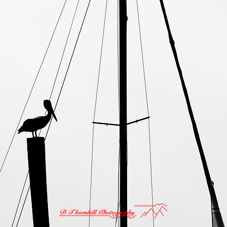 florida - 2022 - spring - 151_DxO