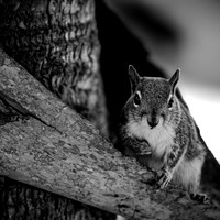 florida - 2022 - spring - 200_DxO