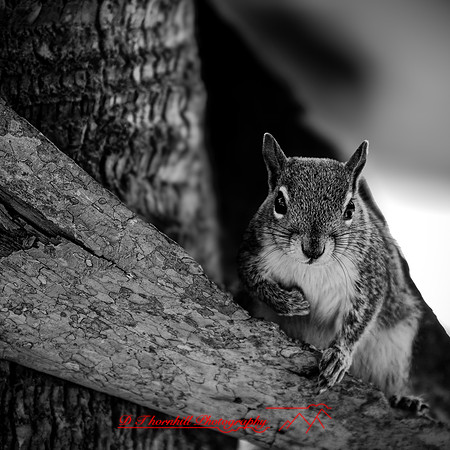 florida - 2022 - spring - 200_DxO