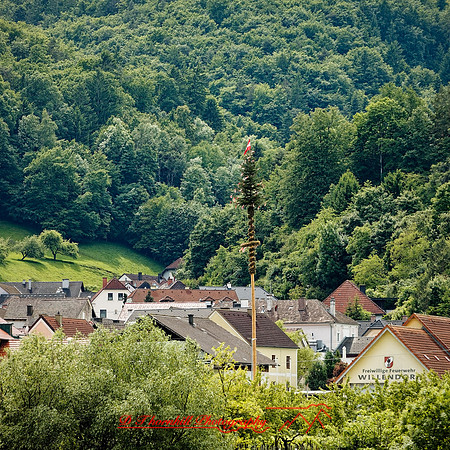 2025 - river cruise - 338_DxO