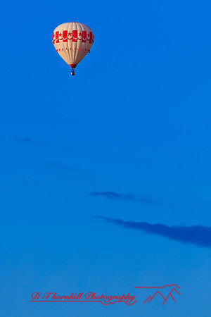 midland-balloon-2010_05-nik