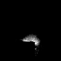 saginaw fireworks 2015 - infrared - 002