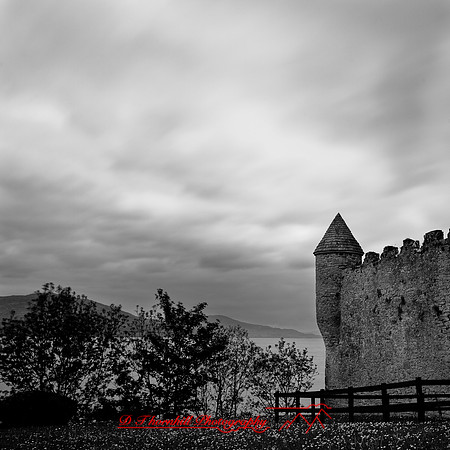 ireland-2013-011-nas