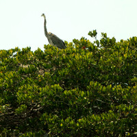 florida-2013-images-087
