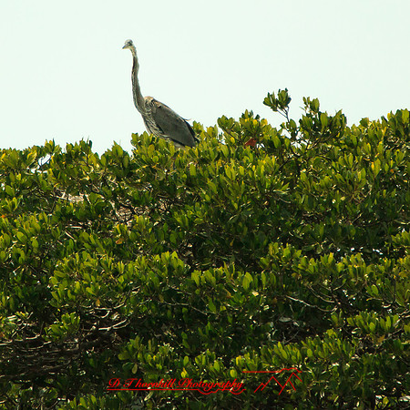 florida-2013-images-087