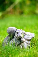 assorted_images-2007-04
