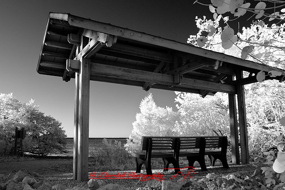 florida-2010-infrared-images_15