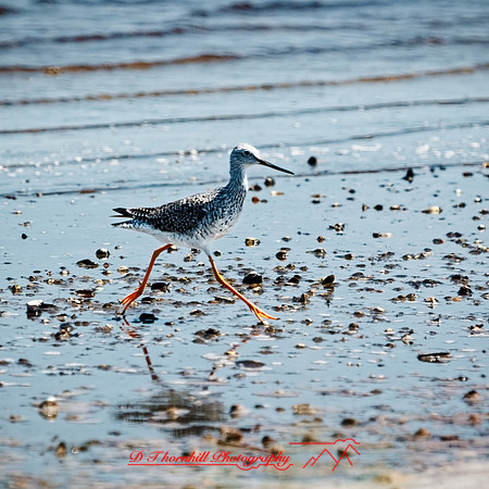 florida - 2022 - spring - 155_DxO