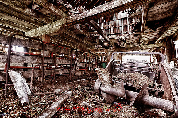 assorted_images-2011-62-nas_HDR