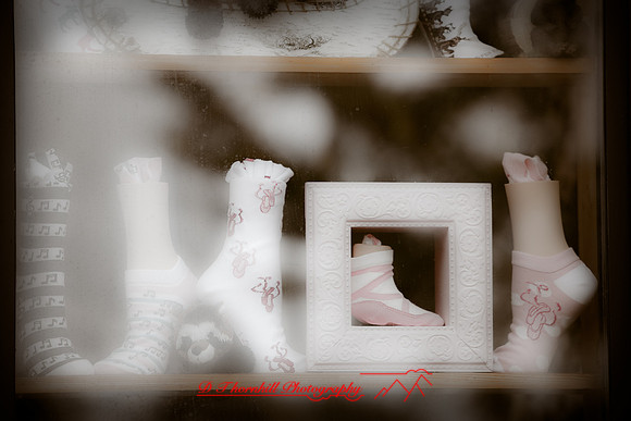 assorted-images-2010_055