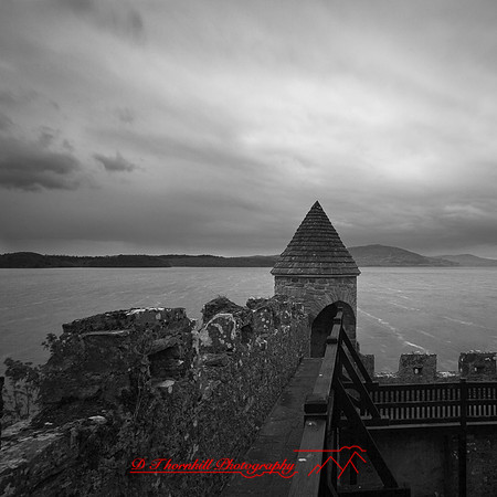 ireland-2013-005-nas