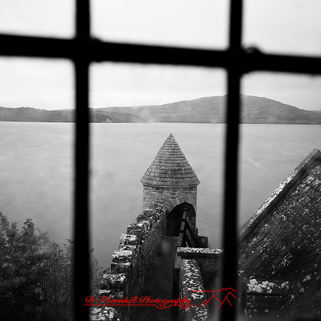 ireland-2013-008