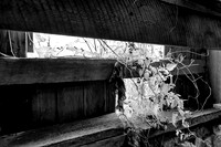 assorted_images-2011-63-nas
