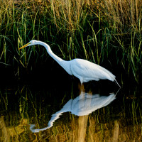 florida - 2022 - spring - 143_DxO