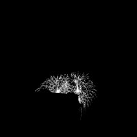 saginaw fireworks 2015 - infrared - 007