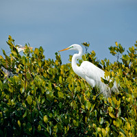 florida - 2022 - spring - 147_DxO