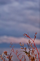 bay_city_state_park-2011-5-1_HDR