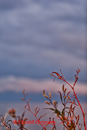 bay_city_state_park-2011-5-1_HDR