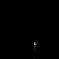 saginaw fireworks 2015 - infrared - 011