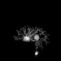 saginaw fireworks 2015 - infrared - 004