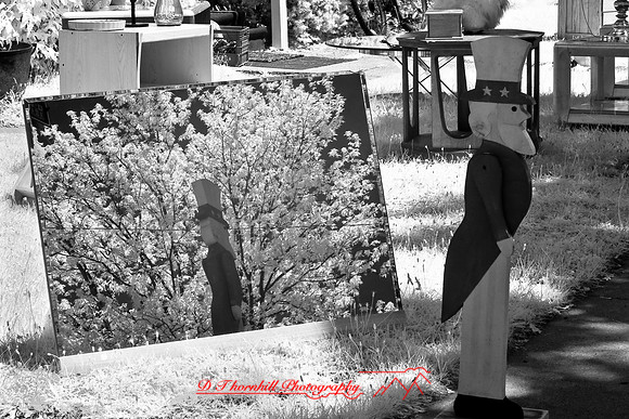 infrared-2008_025