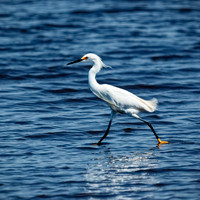 florida - 2022 - spring - 156_DxO