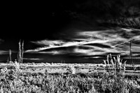 florida-infrared-images-2011_1-1_HDR