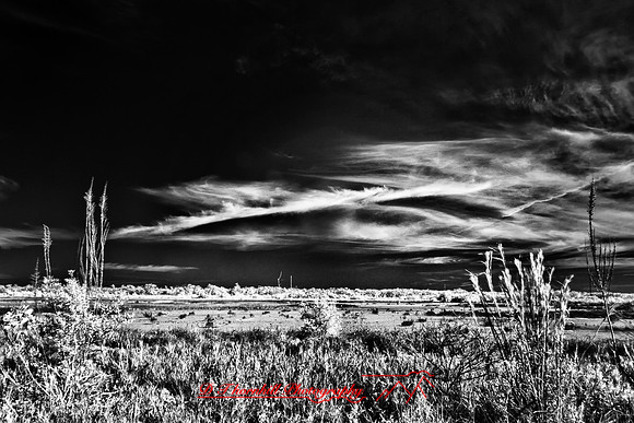 florida-infrared-images-2011_1-1_HDR