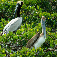florida-2013-images-100