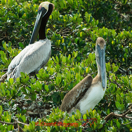 florida-2013-images-100