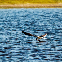 florida - 2022 - spring - 157_DxO