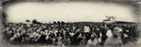 iphone-2014-panoramic-002-nas