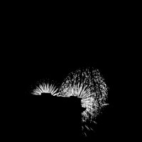 saginaw fireworks 2015 - infrared - 003