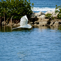 florida - 2022 - spring - 146_DxO