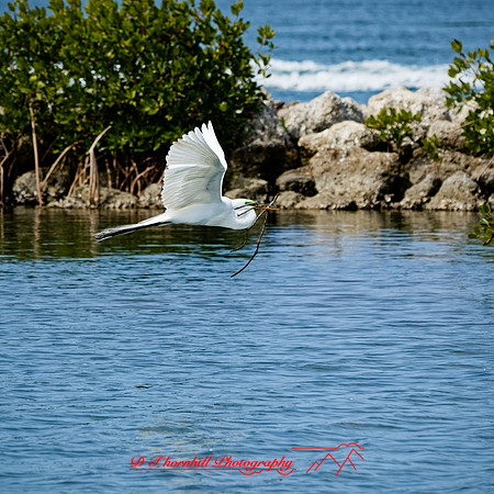 florida - 2022 - spring - 146_DxO