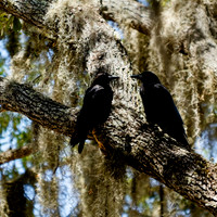 florida - 2022 - spring - 160_DxO