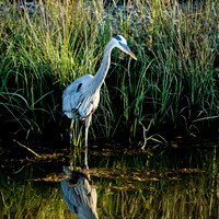 florida - 2022 - spring - 142_DxO