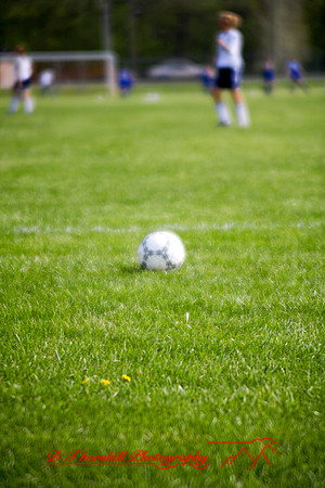 _MG_9354.jpg