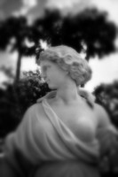 florida - pinhole - 2022 - 024-nik-ps-ai